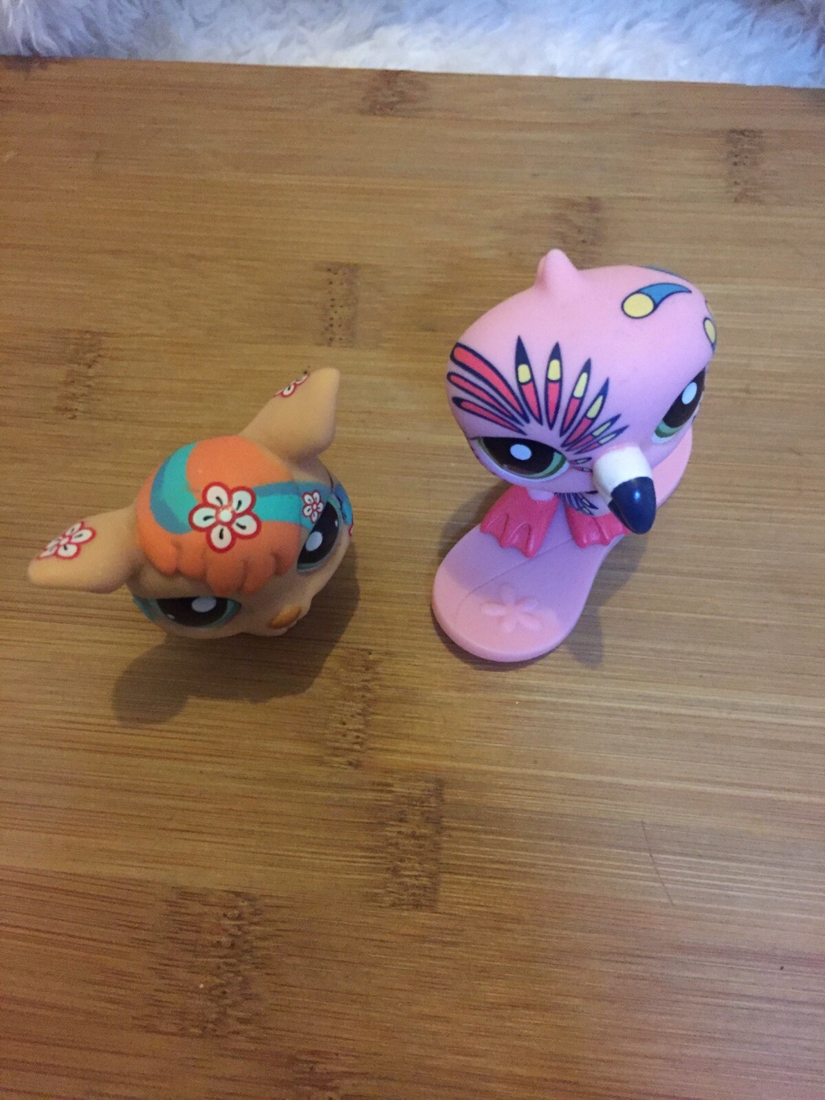 Bild 12 von 12