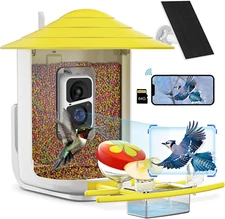 Bird Feeder with Camera, Motion Detection Auto Capture Videos, Smart AI Recognit