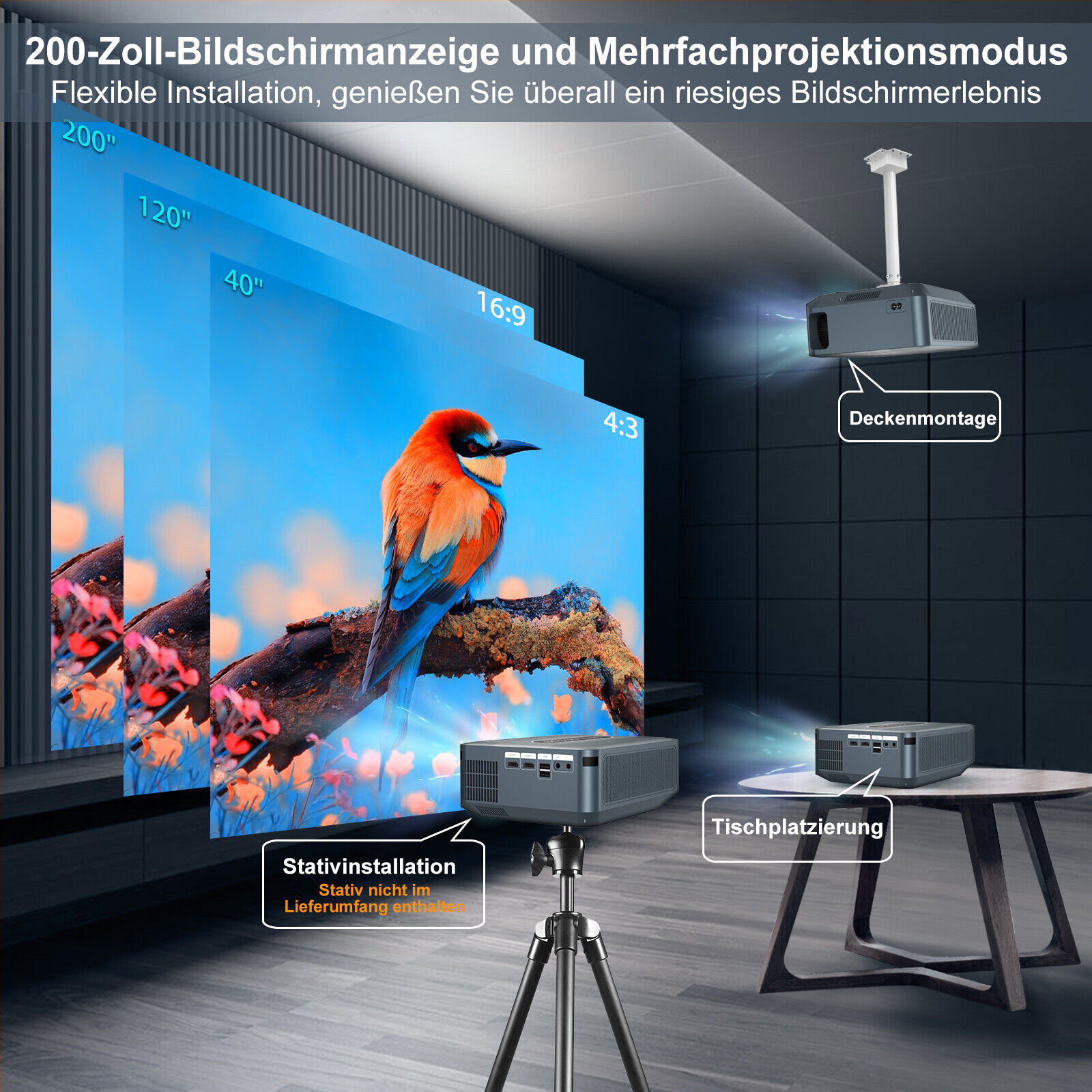 Bild 13 von 21