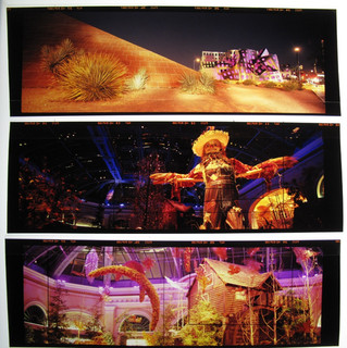 Stunning Las Vegas Scenery Panoramic 120 Film Negatives Lot of 18 Photos