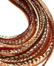 Hair Feathers Kit, 20 Beautiful for 11 Inch Pack of 20 , Brown