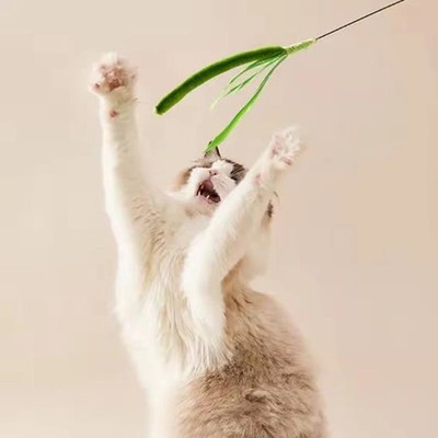 Cat toys, dog tail grass teasing cat pole feather pole wire cat toys, feather po