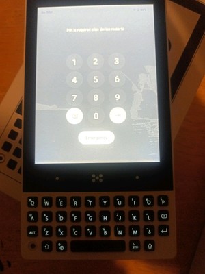 The Minimal Phone MP01 (Panda Edition) 8+256gbA Pixel