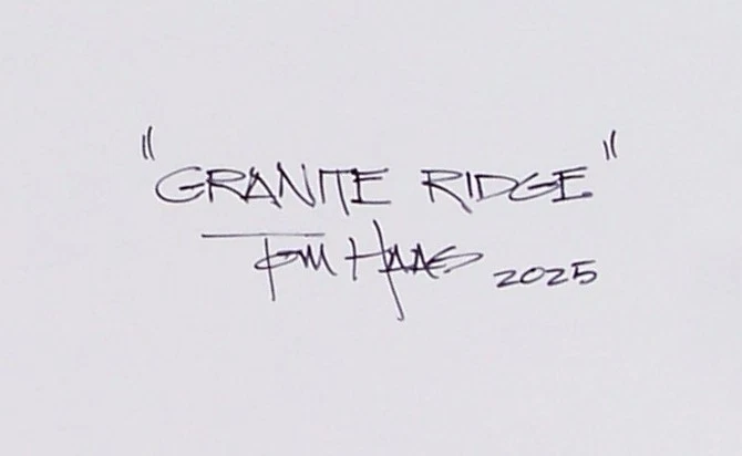 Картина маслом TOM HAAS «Гранитный хребет» 11 x 14 дюймов южная долина гор Аризоны - Изображение 2 из 2