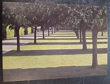 vtg art postcard David Hockney Hernenhausen Hanover painting Bernard Jacobson