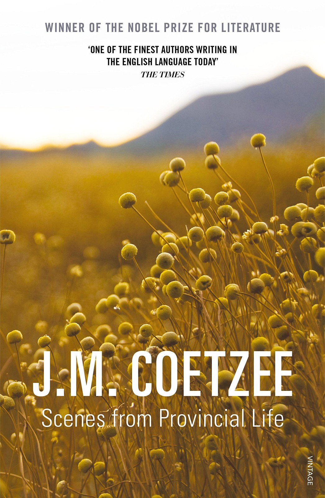 Scenes from Provincial Life by J M Coetzee PAPERBACK 9780099555674 - Image 4