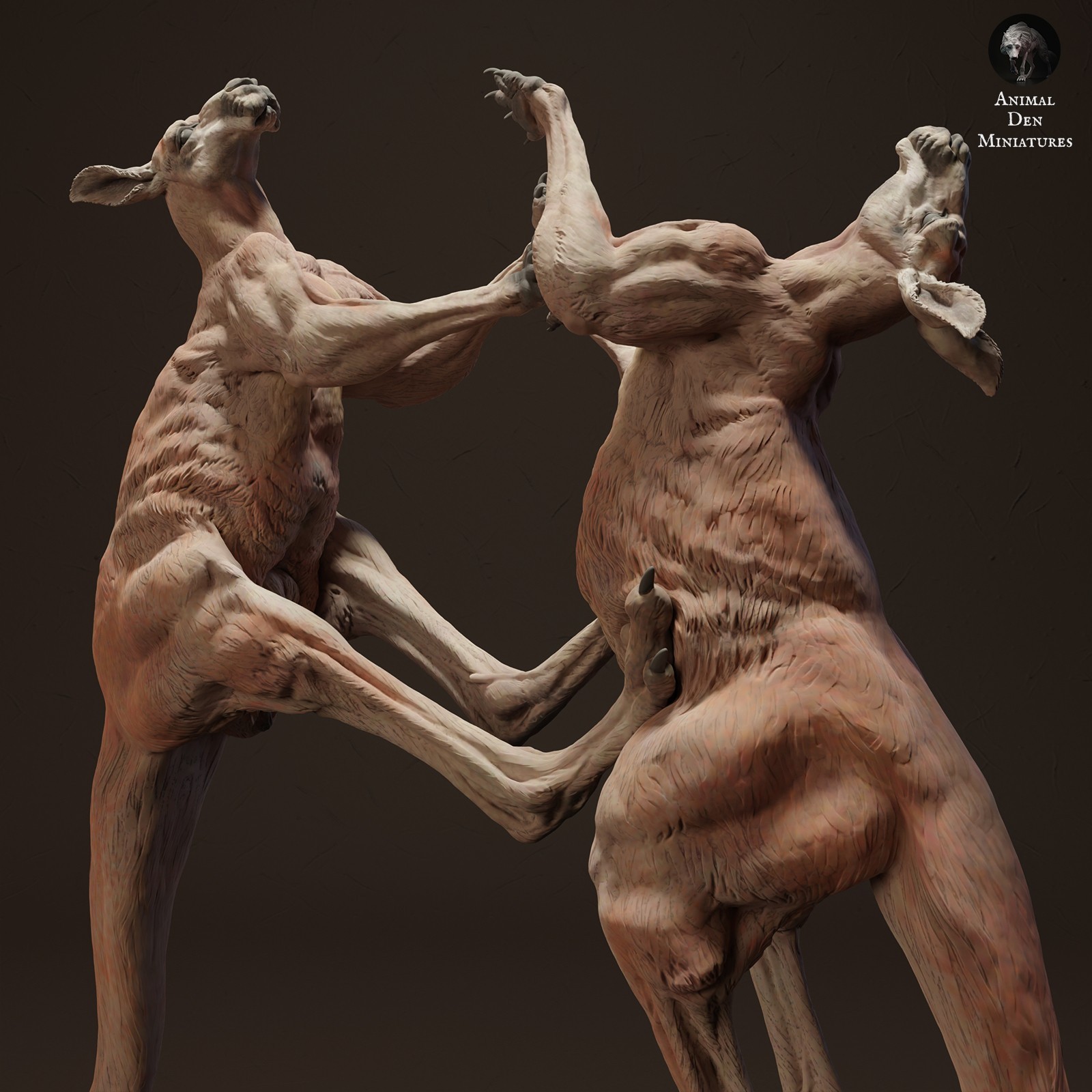 Red Kangaroo Jacks Fight –3D Printed Model- Unpainted- Animals Miniatures