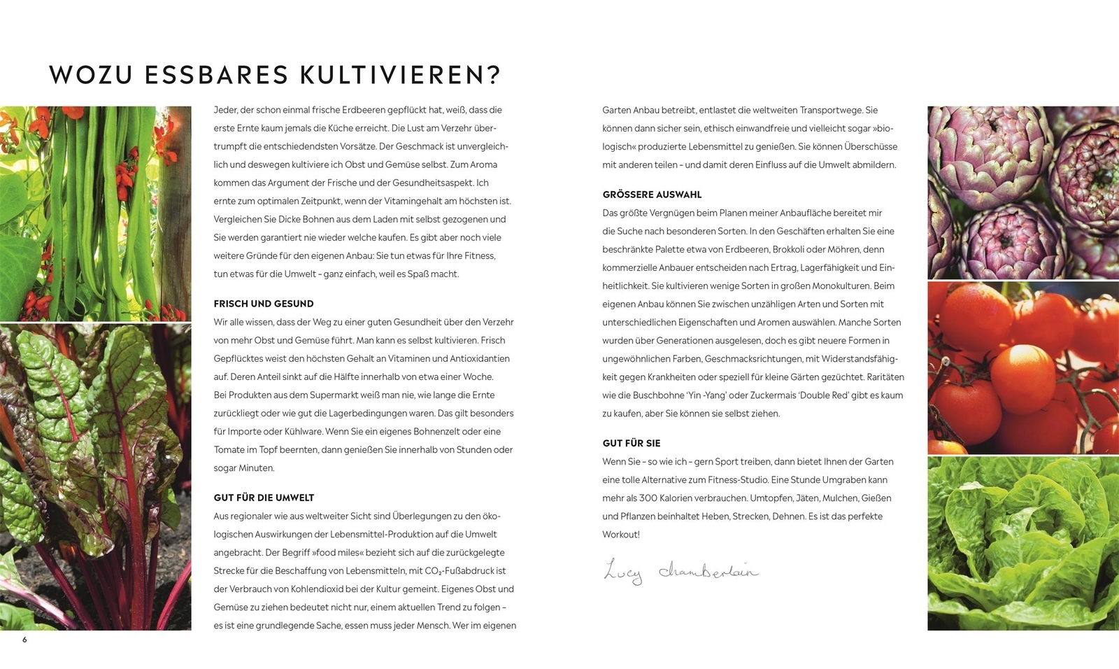 Thumbnail - Kleiner Garten - Große Ernte Lucy Chamberlain