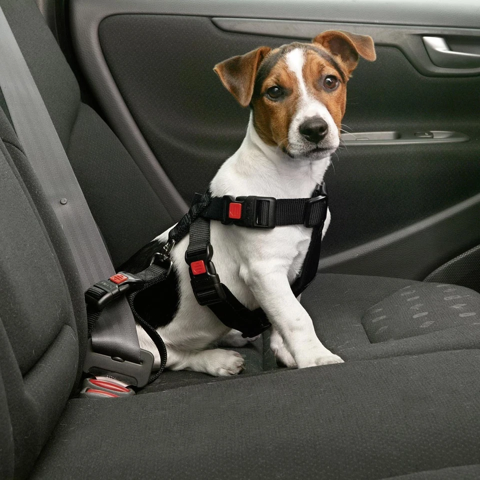 Karlie Auto Harnais de Sécurité XL 60-100 CM Ceinture Harnais pour Chien Chiens - Photo 1/1