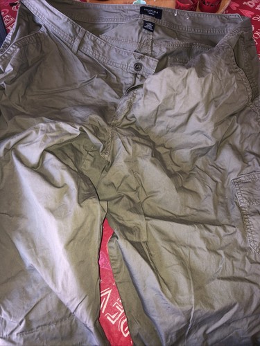 Women's Sonoma Green Size 22W Capris 