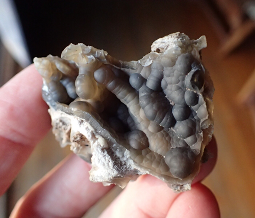 Fossil Oyster Shell Geode Botryoidal Fluorescent Specimen Florida Rare Sea O4