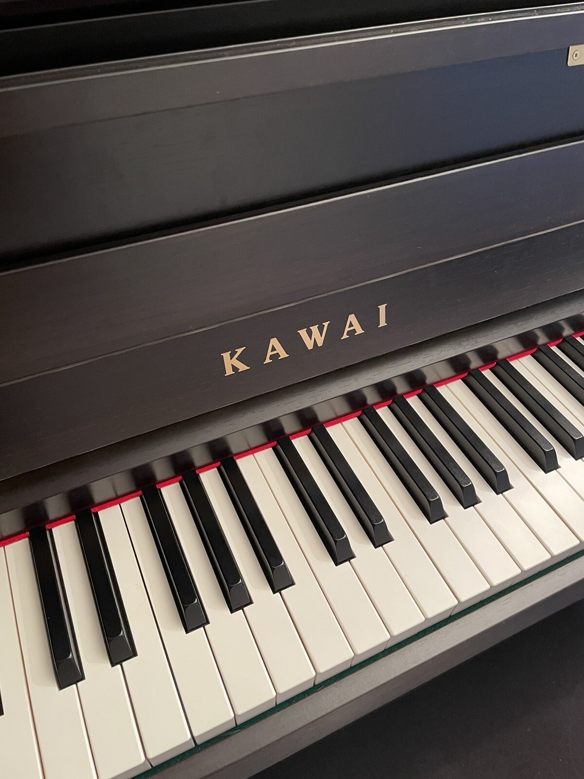 Kawai CA99 Digital Piano eBay