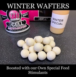 15mm cell boilies