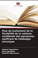 Olufemi Ogundiran (U. A.) | Plan De Traitement De La Flexibilité De La...