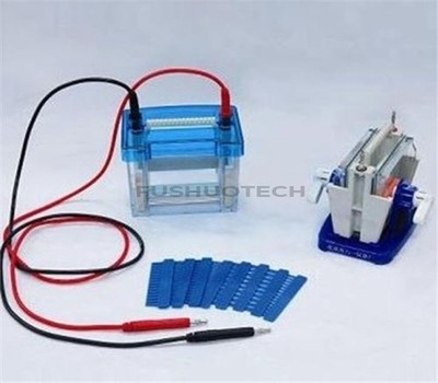 Lab Mini Modular Dual Vertical Gel Electrophoresis Cell System iq #zc