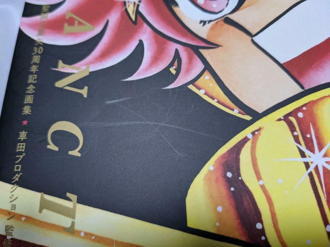 Saint Seiya Illustrations Sanctuary 30th Anniversary Art Book