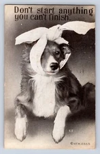 VINTAGE 1900S DONT START ANYTHING YOU CAN PT FINISH DOG WITH RAG ON POSTCARD EY