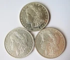 Lot Three O (New Orleans) Mint Morgan Silver Dollars Years 1881 1882 & 1883
