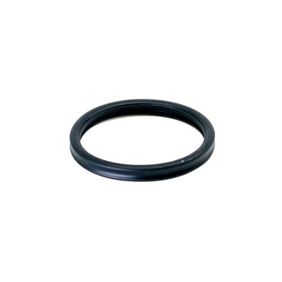 Oase Pre-filter Gasket for BioMaster & Thermo 250 / 350 / 600
