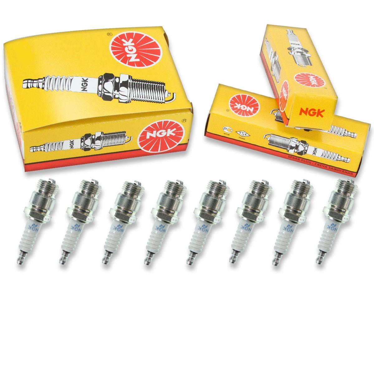8 pcs NGK Standard Spark Plugs for 1975 Ford P-500 6.6L - Engine Kit Set oh