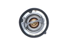 Thermostat Infiniti J30