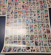 1991 Topps Football cards, Board 5/6 - UNCUT SHEET