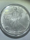 2006-W $1 Walking Liberty American Eagle .999 1oz Uncirculated Silver Dollar