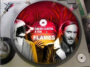 David Guetta Sia Flames Mega Rare 12 Picture Disc Maxi Single Promo Lp Ebay David Guetta Sia Flames Mega Rare 12 Picture Disc Maxi Single Promo Lp Ebay