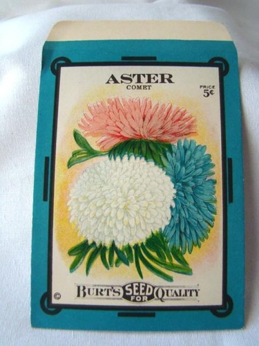 Antique ASTER COMET 'BURT'S SEED' Flower Seed PACKET, Country Store, Unused