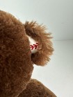 Foto 7 di 7