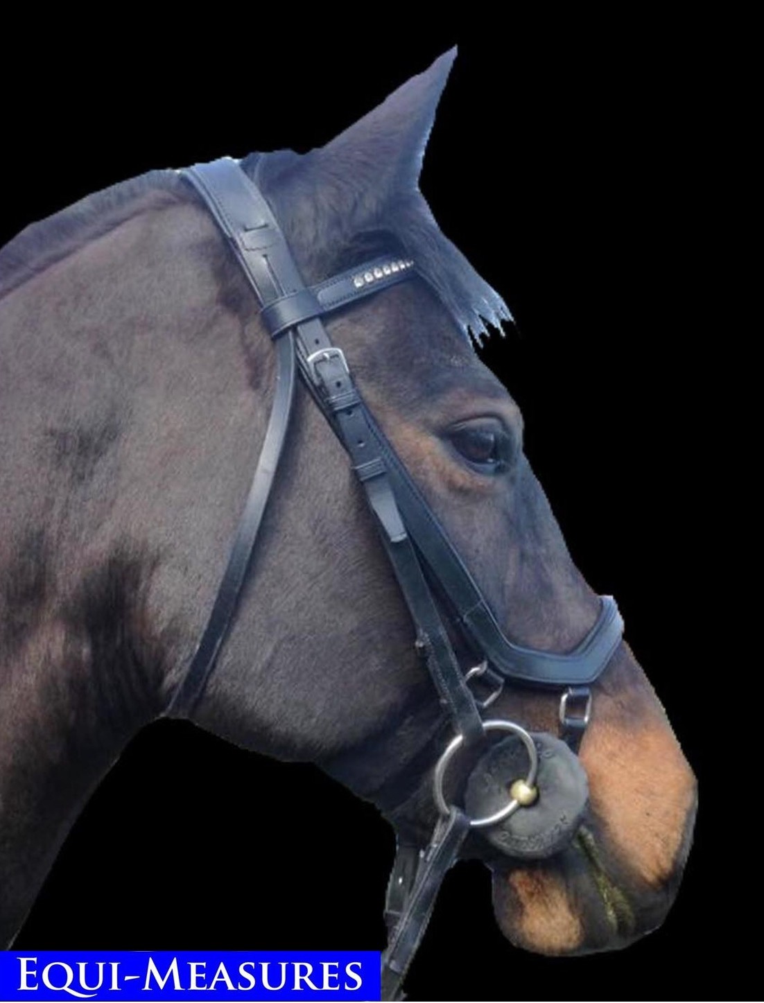 Equi-Measures comfort and control noseband Equi-Measures comfort and control noseband