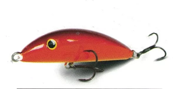 Foto 1 di 1