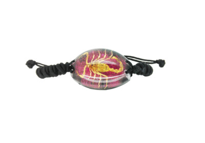 Echt Skorpion lila und schwarz Harz Armband Weihnachtsgeschenk