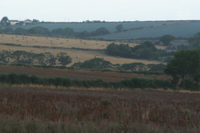 Foto 6x4 farbige Felder Benallack Grampound Eine Art dreifarbige Flagge von c2006
