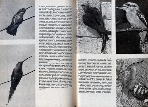 Illustrirovannaya Entsiklopedia Zhivotnyh Pictorial Encyclopedia Animal Kingdom - Picture 2 of 7