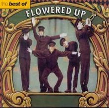 A life with Brian (1991) von Flowered Up | CD | Zustand gut