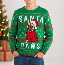 Holiday Time Kids L 10-12 Husky Christmas Ugly Sweater Santa Pug Dog Green