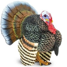 Safari Ltd Turkey Figurine Hand Painted Farm Bird Animal Toy Figure 242929 NEW