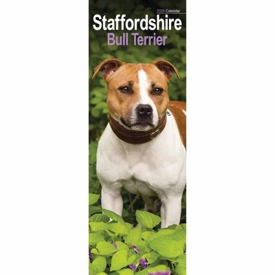 AVONSIDE PUBLISHING LTD Staffordshire Bull Terrier Slim Calendar 2026 - Dogs - Month To View