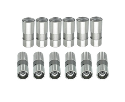 Hyd Flat Lifters Set for Chevrolet GMC 194 200 229 250 262 3.3 3.8 4.1 4.3 V6