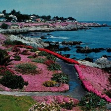Lover's Point Pacific Grove, Monterey Peninsula, California Don Mar Postcard