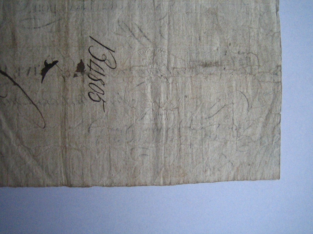 Picture 10 of 10