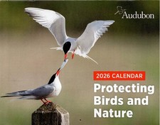 2026 WALL CALENDAR   Protecting Birds and Nature / Audubon
