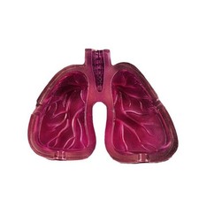 2X(Human Organ Body Art Lung Shape Resin Ashtray Home Room Tabletop8992