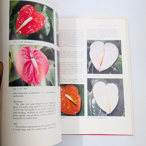 Breeding Anthuriums in Hawaii 1996 Book Kamemoto Cultivation Tropical Plants - Picture 12 of 12