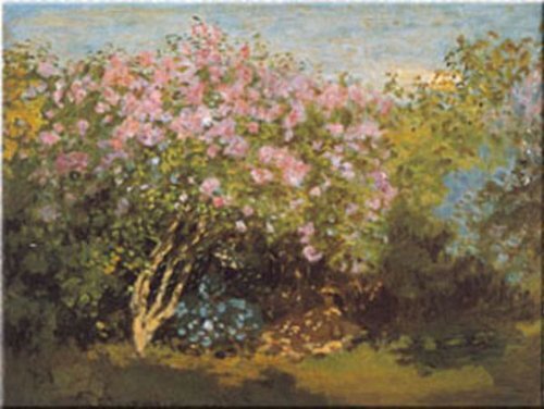Pink Flowers Sun by Claude Monet 24x31 Art Print Poster | eBay