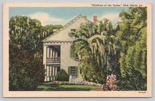 Vintage Linen Postcard Shadows of the Teche New Iberia Louisiana