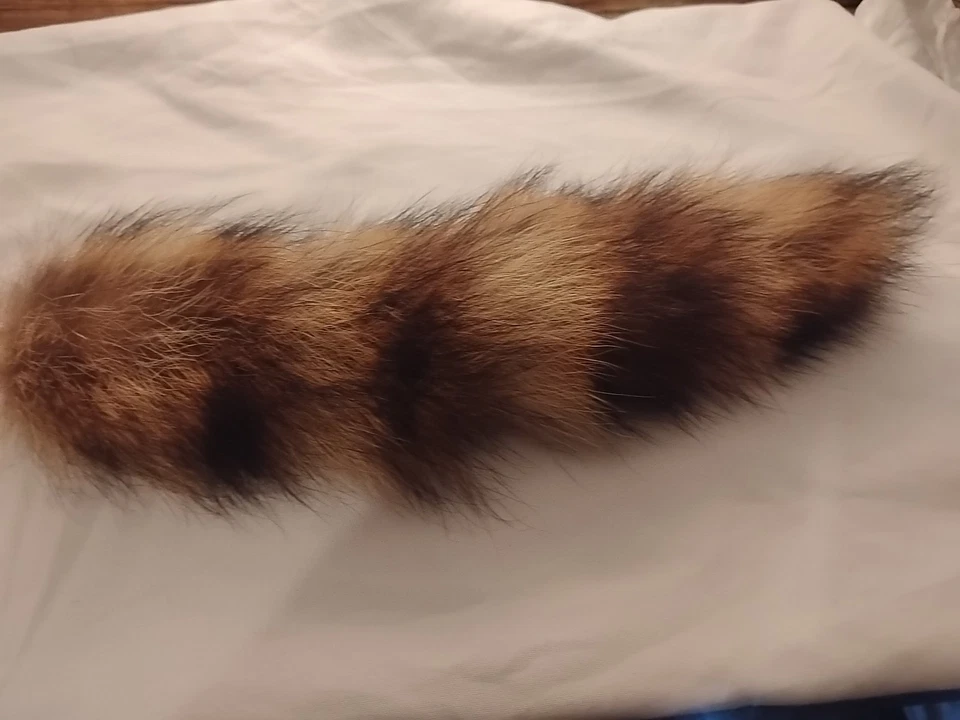 16"-18" Real Piel de Zorro Cola Llavero Bolso Dije Cartera Colgante Disfraz Juegos con disfraces Juguetes Foto 2 de 4