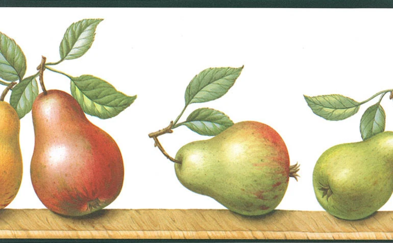 Tuscan Tuscany Fruit Pears Shelf Black Trim Kitchen Country Wall paper Border - Изображение 2 из 2