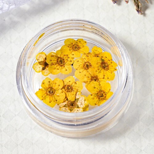 12Grid/box Real Natural Dried Flowers Nail Decor (1-3Pcs) Mixed Manicure Flowers - Bild 8 von 44